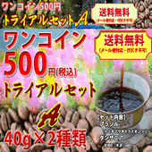 ワンコイン500円トライアルセットA