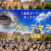 グァテマラ　SHB 100g
