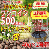 ワンコイン500円トライアルセットB